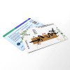 Chinese New Year 2025 EZ Link Card_02